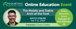 OEE The Mobile and Stable Arch of the Foot Image